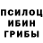Галлюциногенные грибы Psilocybe 09:19