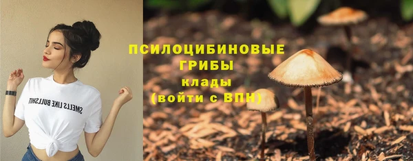 соль ск Карпинск