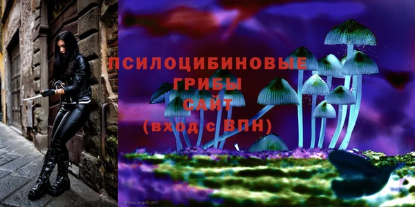 синтетический гашиш Касимов