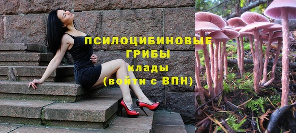 синтетический гашиш Касимов
