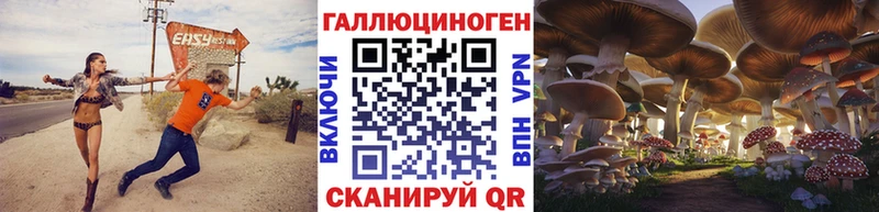 Купить закладки  Богучар  Псилоцибиновые грибы прущие грибы 
